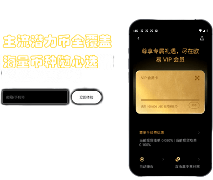 VIP 权益界面